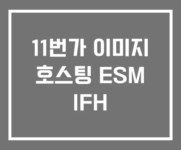 11번가 이미지 호스팅 ESM IFH 11번가 이미지 호스팅 ESM IFH