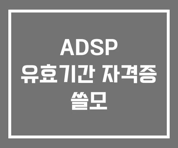 ADSP 유효기간 자격증 쓸모