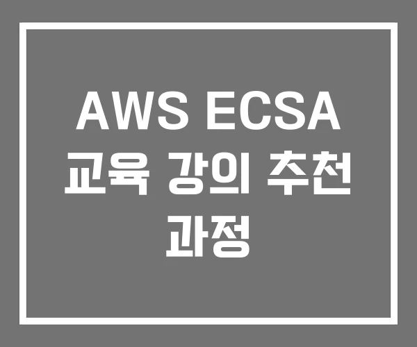 AWS ECSA 교육 강의 추천 과정 AWS ECSA 교육 강의 추천 과정