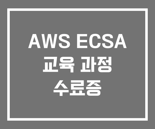 AWS ECSA 교육 과정 수료증
