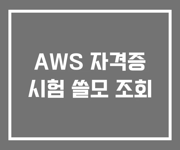 AWS 자격증 시험 쓸모 조회 AWS 자격증 시험 쓸모 조회