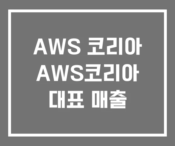AWS 코리아 AWS코리아 대표 매출