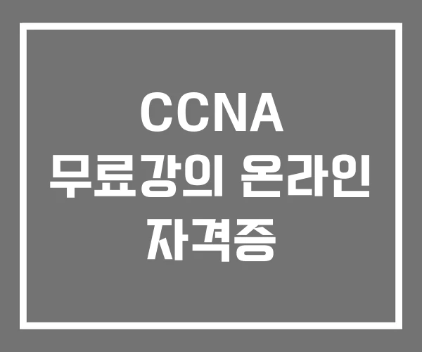 CCNA 무료강의 온라인 자격증 CCNA 무료강의 온라인 자격증
