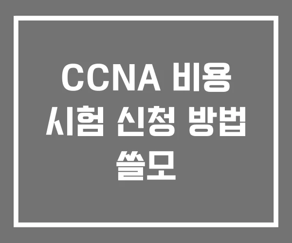 CCNA 비용 시험 신청 방법 쓸모