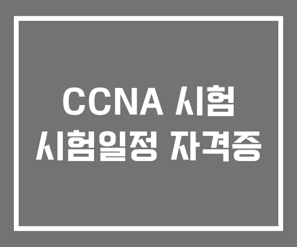 CCNA 시험 시험일정 자격증