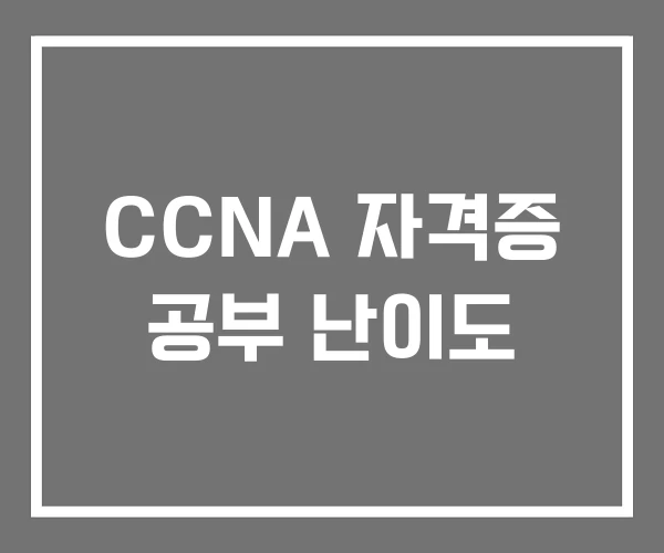 CCNA 자격증 공부 난이도