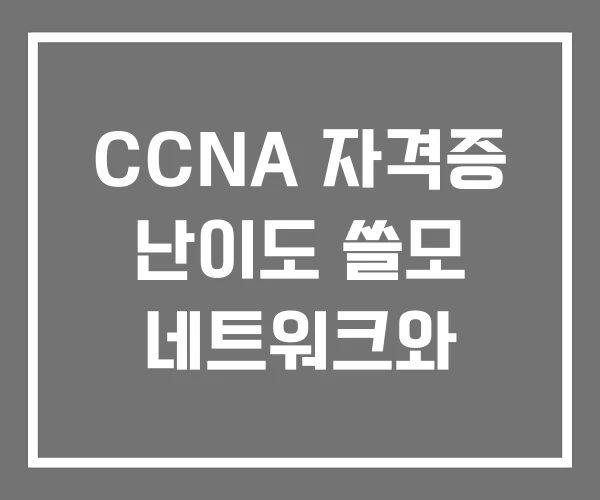 CCNA 자격증 난이도 쓸모 네트워크와 CCNA 자격증 난이도 쓸모 네트워크와