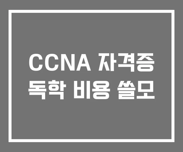 CCNA 자격증 독학 비용 쓸모