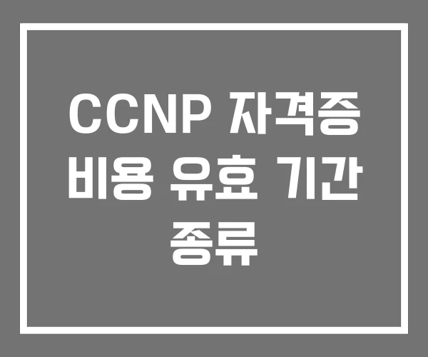 CCNP 자격증 비용 유효 기간 종류