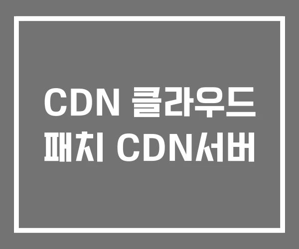 CDN 클라우드 패치 CDN서버 CDN 클라우드 패치 CDN서버