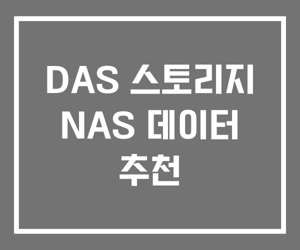 DAS 스토리지 NAS 데이터 추천 DAS 스토리지 NAS 데이터 추천