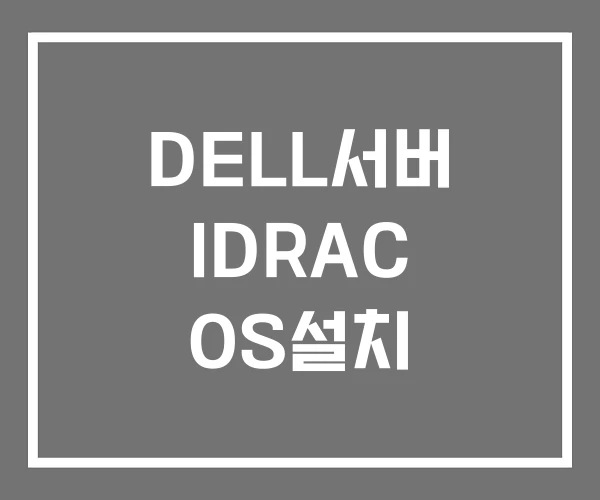 DELL서버 IDRAC OS설치