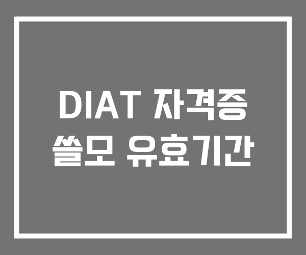 DIAT 자격증 쓸모 유효기간