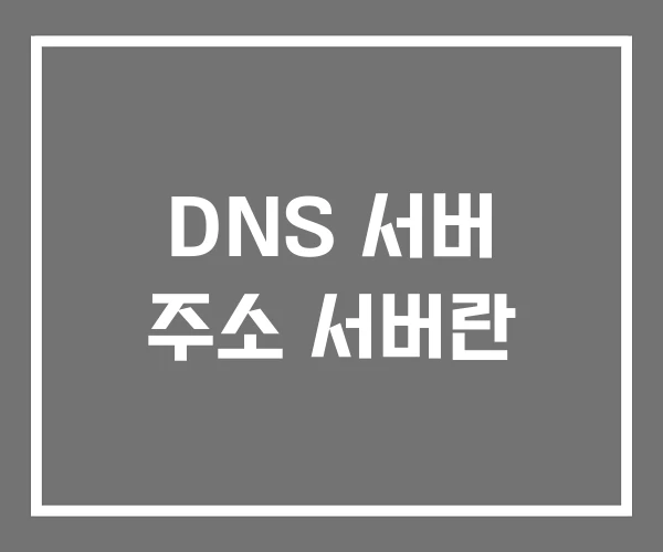 DNS 서버 주소 서버란