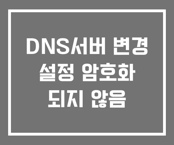 DNS서버 변경 설정 암호화 되지 않음