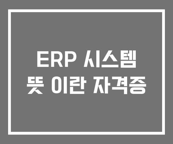 ERP 시스템 뜻 이란 자격증