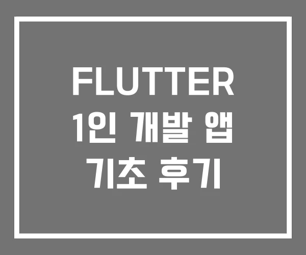 FLUTTER 1인 개발 앱 기초 후기 FLUTTER 1인 개발 앱 기초 후기