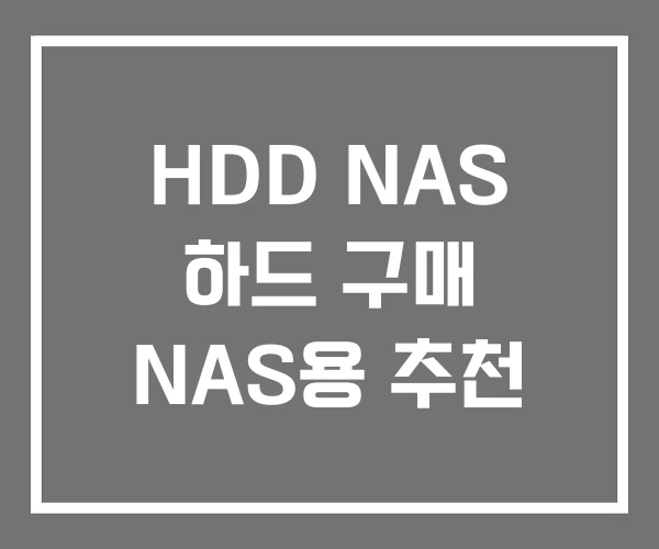 HDD NAS 하드 구매 NAS용 추천 HDD NAS 하드 구매 NAS용 추천
