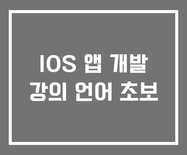 IOS 앱 개발 강의 언어 초보