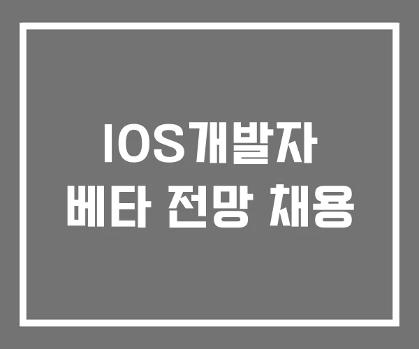 IOS개발자 베타 전망 채용 IOS개발자 베타 전망 채용