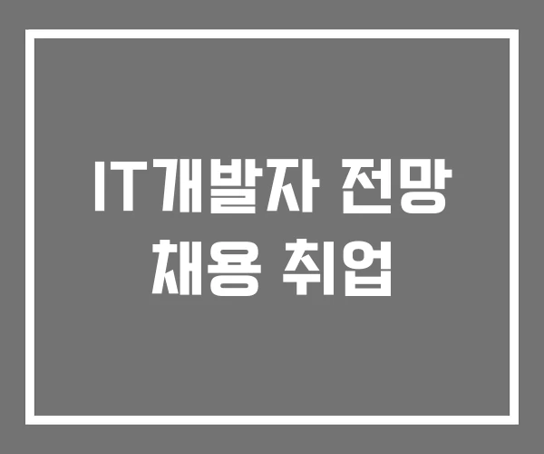 IT개발자 전망 채용 취업 IT개발자 전망 채용 취업