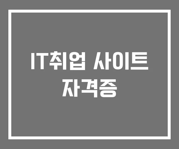 IT취업 사이트 자격증