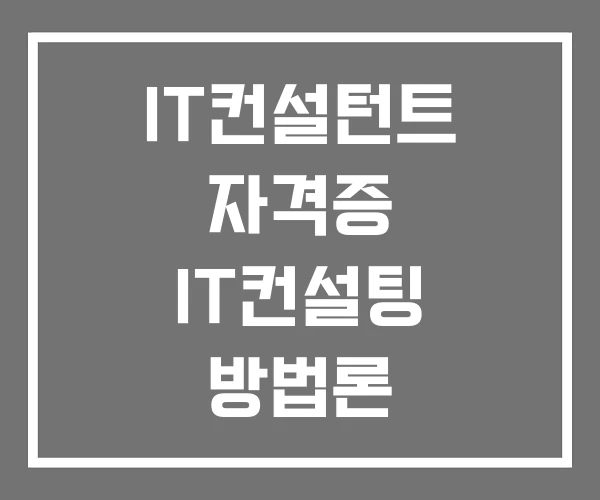 IT컨설턴트 자격증 IT컨설팅 방법론 IT컨설턴트 자격증 IT컨설팅 방법론
