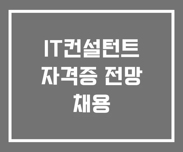 IT컨설턴트 자격증 전망 채용 IT컨설턴트 자격증 전망 채용