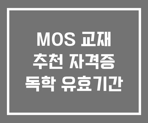 MOS 교재 추천 자격증 독학 유효기간