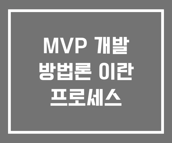 MVP 개발 방법론 이란 프로세스 MVP 개발 방법론 이란 프로세스