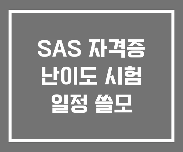 SAS 자격증 난이도 시험 일정 쓸모