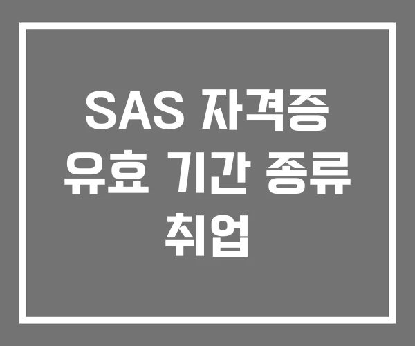 SAS 자격증 유효 기간 종류 취업