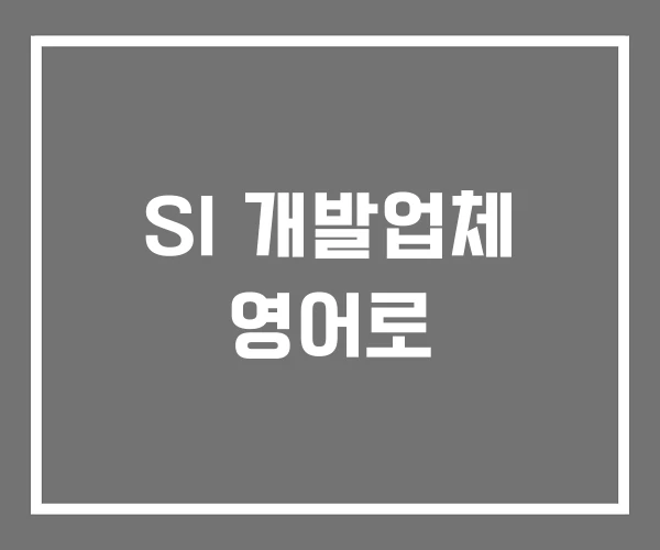 SI 개발업체 영어로