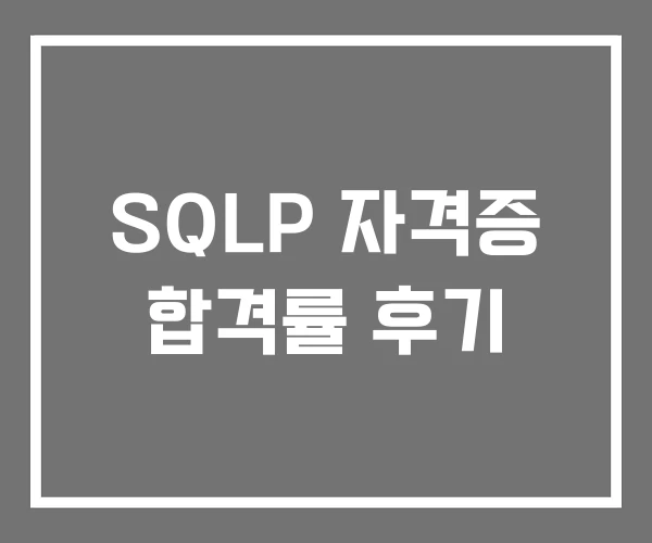 SQLP 자격증 합격률 후기