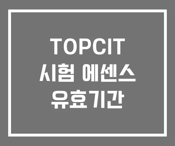 TOPCIT 시험 에센스 유효기간