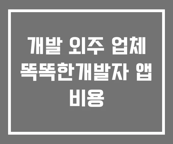 개발 외주 업체 똑똑한개발자 앱 비용