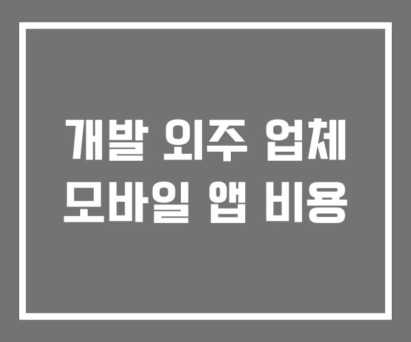 개발 외주 업체 모바일 앱 비용 개발 외주 업체 모바일 앱 비용