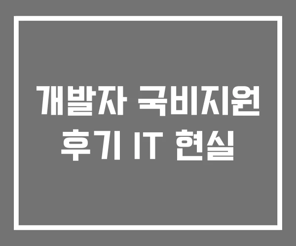 개발자 국비지원 후기 IT 현실 개발자 국비지원 후기 IT 현실