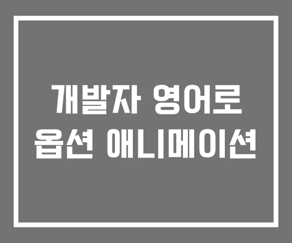 개발자 영어로 옵션 애니메이션