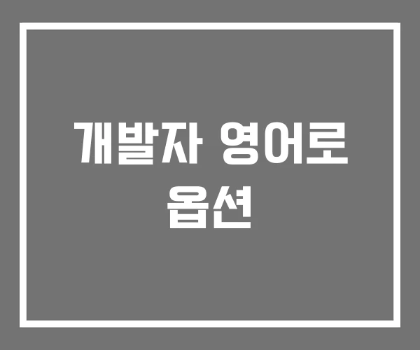 개발자 영어로 옵션