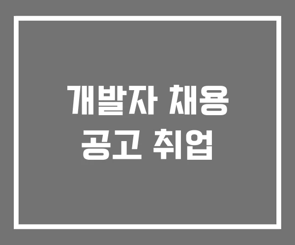 개발자 채용 공고 취업