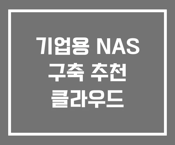 기업용 NAS 구축 추천 클라우드