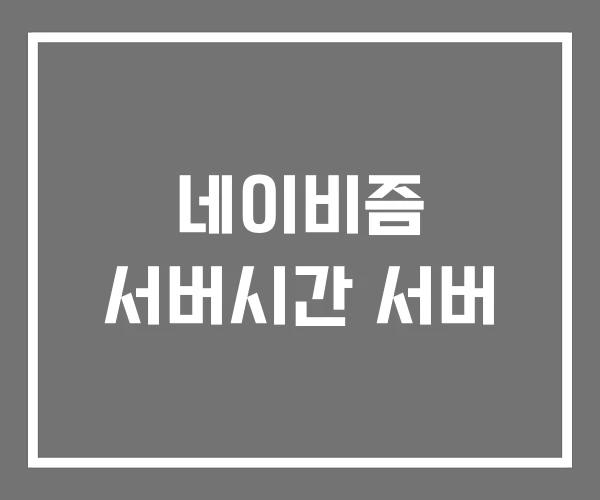 네이비즘 서버시간 서버