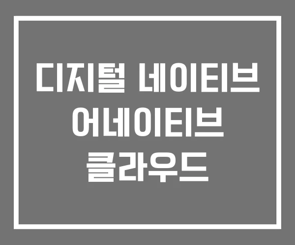 디지털 네이티브 어네이티브 클라우드