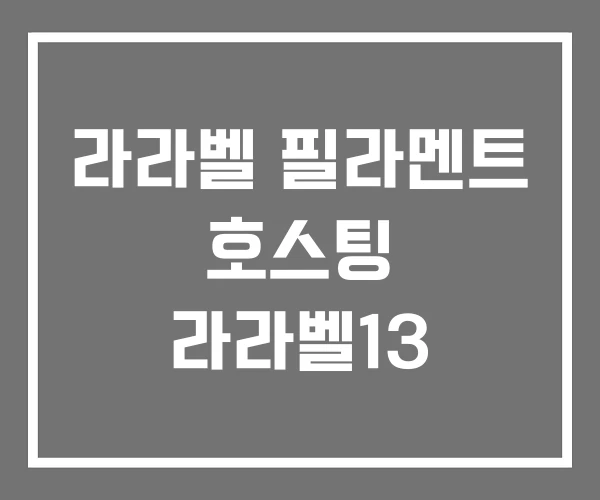 라라벨 필라멘트 호스팅 라라벨13
