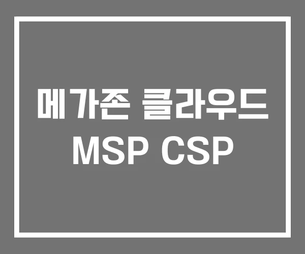 메가존 클라우드 MSP CSP 메가존 클라우드 MSP CSP