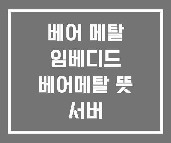 베어 메탈 임베디드 베어메탈 뜻 서버