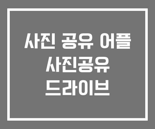 사진 공유 어플 사진공유 드라이브
