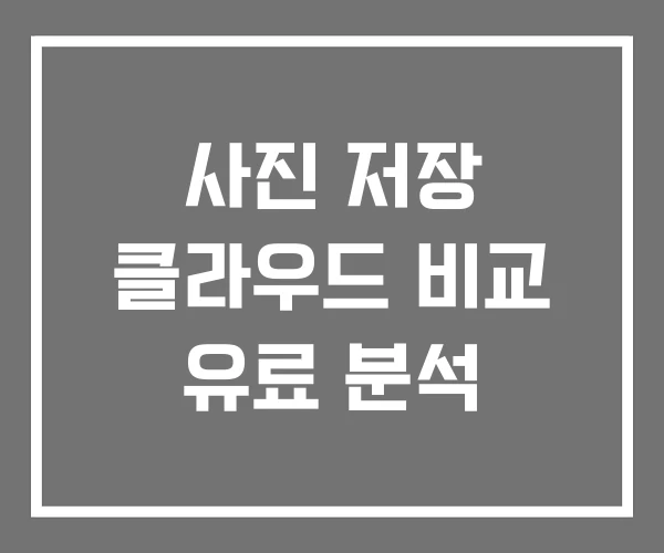 사진 저장 클라우드 비교 유료 분석 사진 저장 클라우드 비교 유료 분석