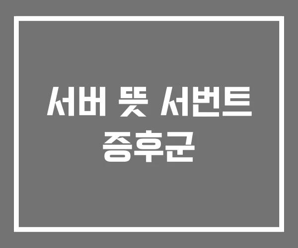 서버 뜻 서번트 증후군